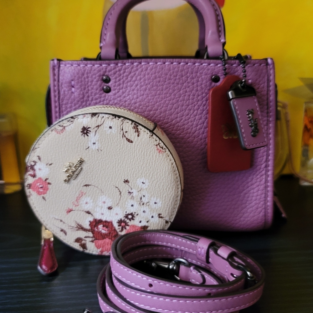 Coach Rogue 17 & coin case